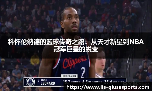 球速体育官方网站