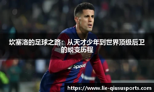 球速体育官方